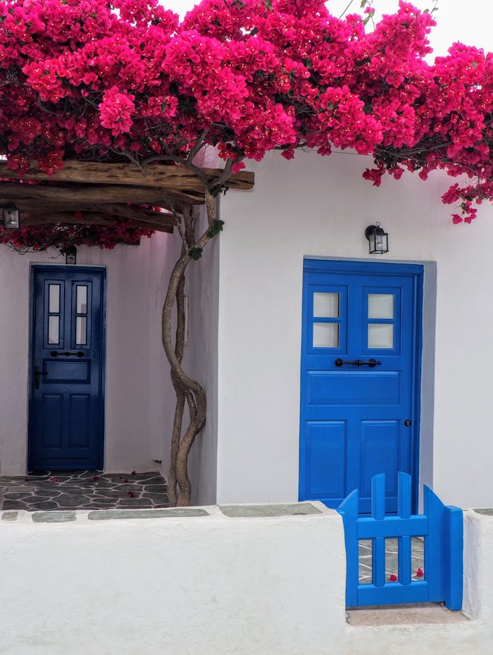 Charming Mediterranean white house with blue wooden doors and vibrant pink bougainvillea.